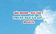 Thuật ngữ là gì? Đặc điểm, chức năng của thuật ngữ là...